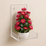 Glassy Clear Acrylic Wall Mounted Floating Shelf (4" × 4" × 8") with 1" Front & Side Lips